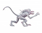 Alien & Predator Classics Action Figures 14 cm Assortment (8)