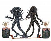 Aliens Action Figure 23 cm Ultimate Warrior Case (8)