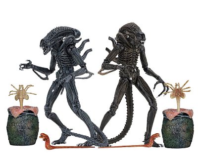 Aliens Action Figure 23 cm Ultimate Warrior Case (8)