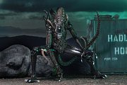 Aliens Action Figure 23 cm Ultimate Warrior Case (8)