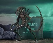 Aliens Action Figure 23 cm Ultimate Warrior Case (8)