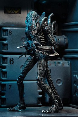 Aliens Action Figure 23 cm Ultimate Warrior Case (8)