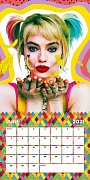 Birds of Prey Calendar 2021 *English Version*