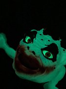 Boglins Hand Puppet Dark Lord Crazy Clown  (Glow In The Dark)