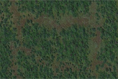 D&D Icons of the Realms: Battle Mat Forest