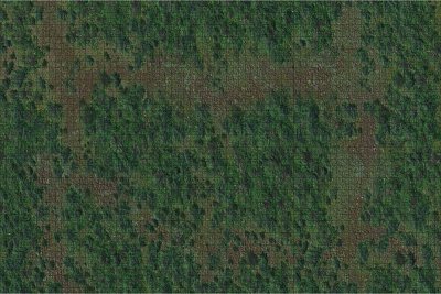 D&D Icons of the Realms: Battle Mat Forest