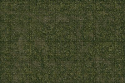 D&D Icons of the Realms: Battle Mat Grasslands