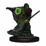 D&D Icons of the Realms Premium Miniature pre-painted Elf Druid Male Case (6)