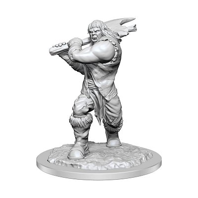 D&D Nolzur\'s Marvelous Miniatures Unpainted Miniature Ogre Female Case (2)