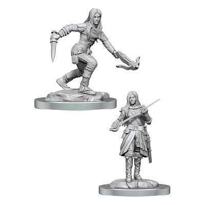 D&D Nolzur\'s Marvelous Miniatures Unpainted Miniatures 2-Packs Half-Elf Rogue Female Case (4)