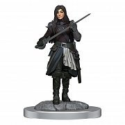 D&D Nolzur\'s Marvelous Miniatures Unpainted Miniatures 2-Packs Half-Elf Rogue Female Case (4)