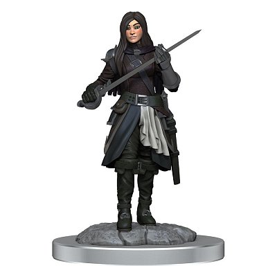 D&D Nolzur\'s Marvelous Miniatures Unpainted Miniatures 2-Packs Half-Elf Rogue Female Case (4)