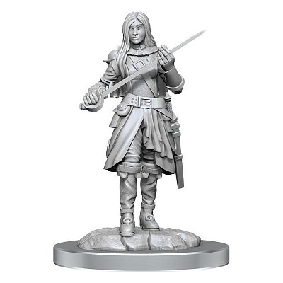 D&D Nolzur\'s Marvelous Miniatures Unpainted Miniatures 2-Packs Half-Elf Rogue Female Case (4)