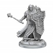 Dungeons & Dragons Frameworks Miniature Model Kit Human Cleric Male