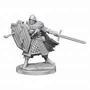 Dungeons & Dragons Frameworks Miniature Model Kit Human Fighter Male