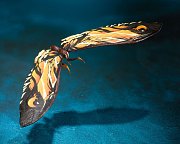 Godzilla: King of the Monsters 2019 S.H. MonsterArts Action Figure 2-Pack Mothra & Rodan