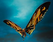 Godzilla: King of the Monsters 2019 S.H. MonsterArts Action Figure 2-Pack Mothra & Rodan