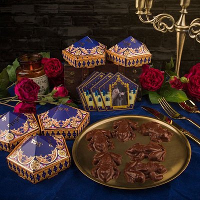 Harry Potter Chocolate Frog Mold New Edition - Damaged packaging