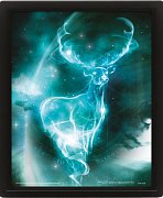 Harry Potter Framed 3D Effect Poster Pack Expecto Patronum 26 x 20 cm (3)