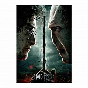 Harry Potter Jigsaw Puzzle Harry vs Voldemort