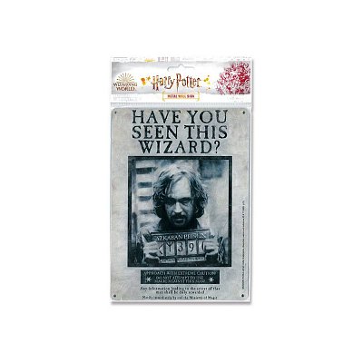 Harry Potter Tin Sign Have You Seen This Wizard 15 x 21 cm