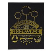 Harry Potter XL Premium Pin Badge Oversized Snitch (gold plated)