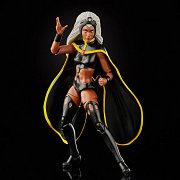 Marvel Legends Action Figure 2-Pack Storm & Marvel\'s Thunderbird 15 cm --- DAMAGED PACKAGING