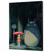 My Neighbor Totoro Wooden Wall Art Totoro 35 x 50 cm