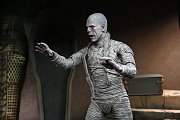 Universal Monsters Action Figure Ultimate The Mummy (Color) 18 cm