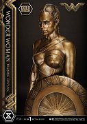 Wonder Woman Statue Wonder Woman Training Costume Gold Version 80 cm