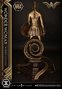 Wonder Woman Statue Wonder Woman Training Costume Gold Version 80 cm