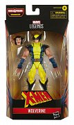 X-Men Marvel Legends Series Action Figure 2022 Wolverine 15 cm