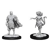 D&D Nolzur\'s Marvelous Miniatures Unpainted Miniatures Autumn Eladrin & Summer Eladrin Case (2)